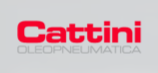 Cattini